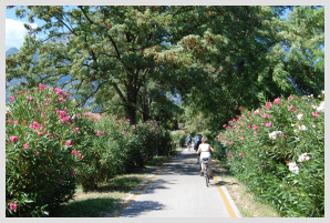 BICICLETTATA SUL SARCA